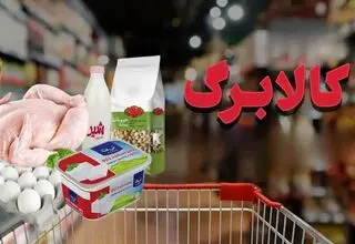 آغاز برداشت کالابرگ یک میلیونی از فردا