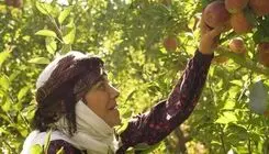 آغاز پخش سریال جدید «مادران» ۱۱ اردیبهشت از شبکه یک سیما