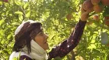 آغاز پخش سریال جدید «مادران» ۱۱ اردیبهشت از شبکه یک سیما