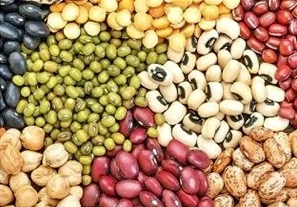 کاهش قیمت حبوبات از اواخر مرداد