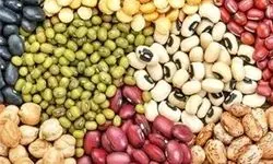 کاهش قیمت حبوبات از اواخر مرداد