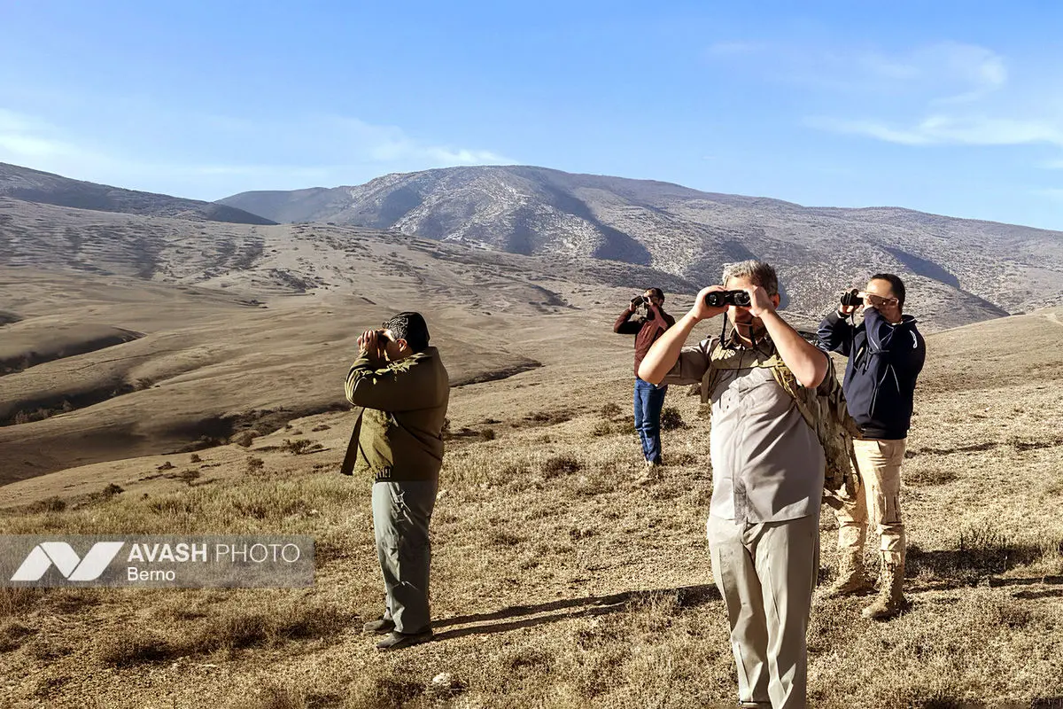 سرشماری پاییزه پارک ملی گلستان