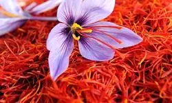 خرید تضمینی پیاز و عرضه زعفران در بورس کالا 