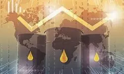 قیمت نفت افزایش یافت 