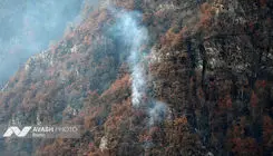 دادستانی به آتش سوزی جنگل‌های الیت ورود کرد