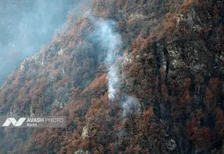 دادستانی به آتش سوزی جنگل‌های الیت ورود کرد