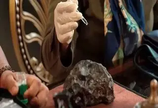 دام جدید برای جویندگان طلا