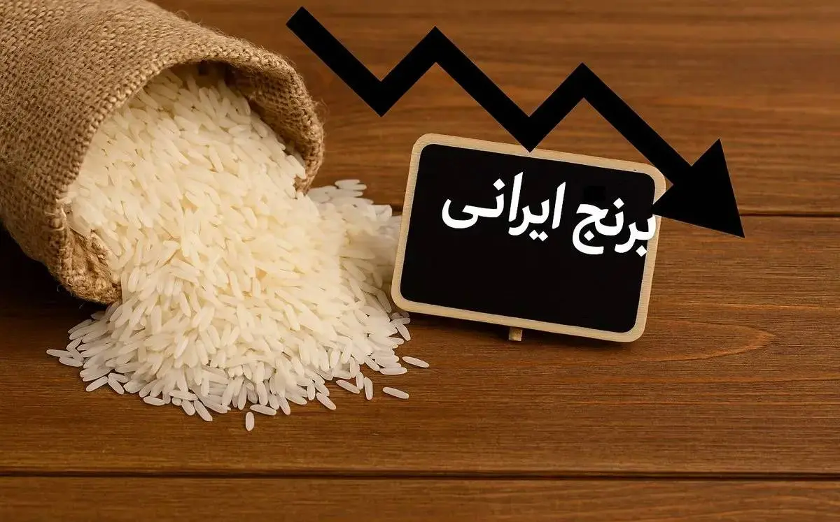 قیمت واقعی برنج ایرانی پیش‌بینی شد