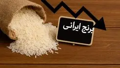 قیمت واقعی برنج ایرانی پیش‌بینی شد