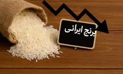 قیمت واقعی برنج ایرانی پیش‌بینی شد