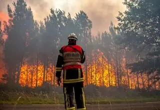 جزئیات آتش‌سوزی در جنگل‌های سپیدبرگ جوانرود
