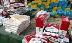 قاچاقچیان سیگار در بندرعباس به دام افتاند