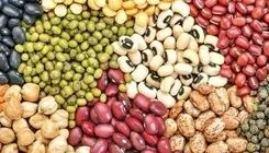 هشدار رئیس هیئت‌مدیره حبوبات ایران نسبت به تشدید قیمت در بازار