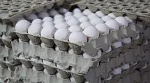 نگرانی مبنی بر تامین تخم مرغ وجود ندارد