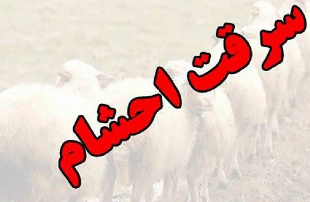 سرقت ناکام دیگر از روستای کریم آباد رامشیر