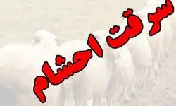 سرقت ناکام دیگر از روستای کریم آباد رامشیر