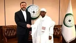 ایران در ماه‌های آینده میزبان کنفرانس «جنبش جهانی حمایت از خانواده» خواهد بود