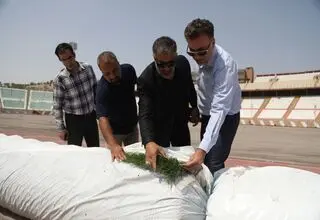 اشتباه باورنکردنی در ریختن خاک؛ دلیل تاخیر در نصب چمن جدید تراکتور مشخص شد!