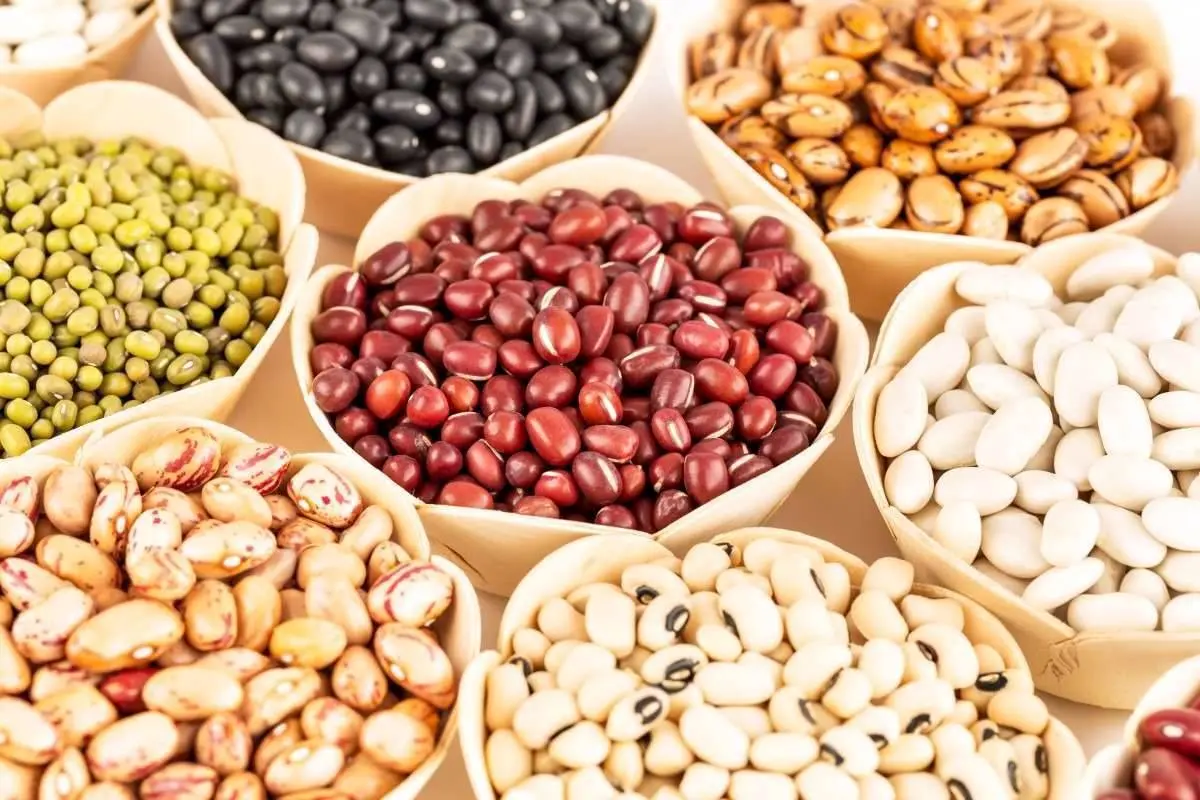 فراهم شدن امکان ثبت سفارش حبوبات سهمیه فصل زمستان