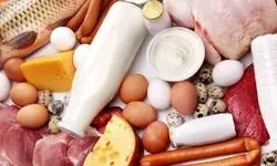 واردات روزانه ۵۵ هزارکیلو گوشت گوسفندی و ۹۵ هزار کیلوگرم گوشت گاو و گوساله