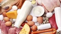 واردات روزانه ۵۵ هزارکیلو گوشت گوسفندی و ۹۵ هزار کیلوگرم گوشت گاو و گوساله
