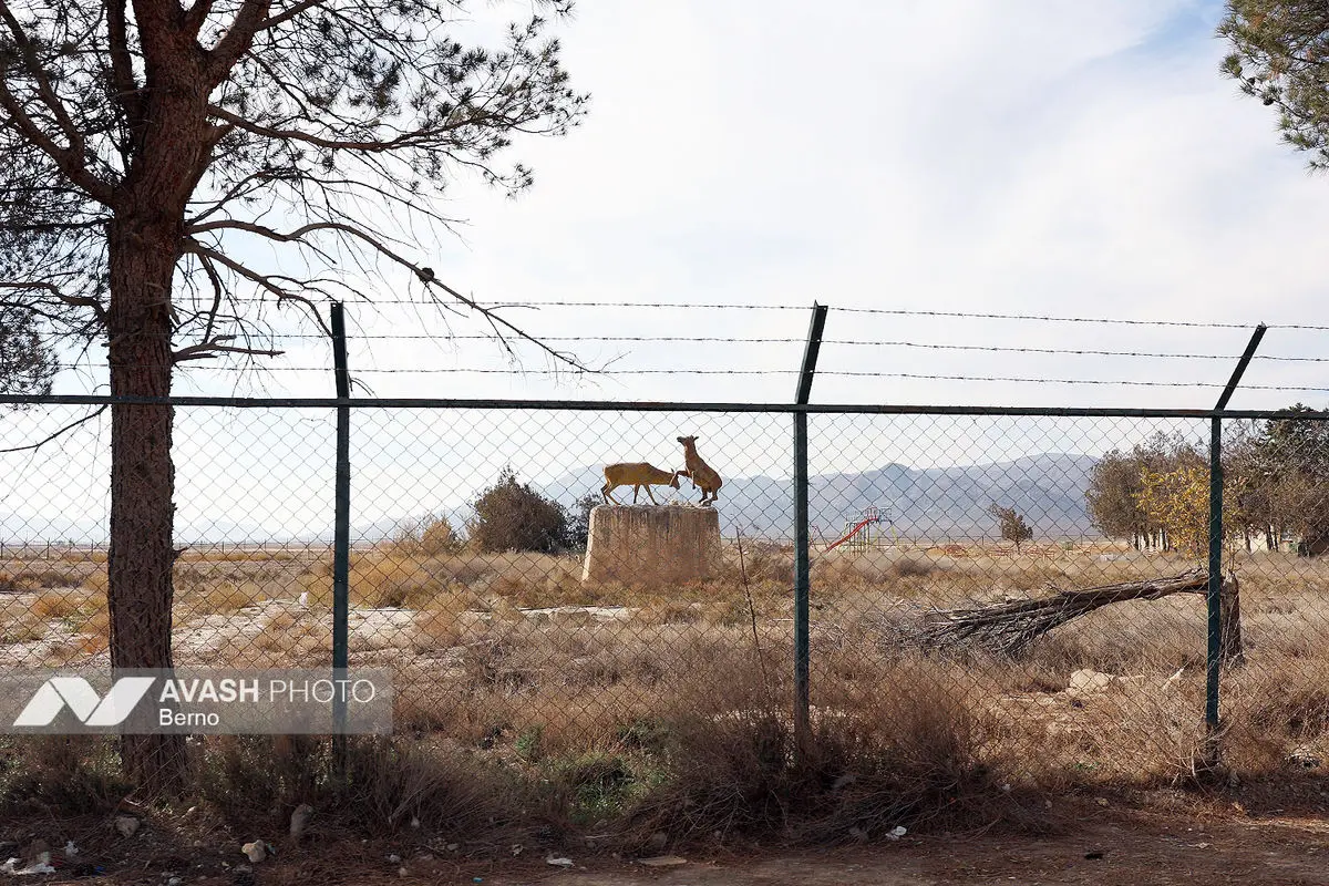 سرشماری پاییزه پارک ملی گلستان
