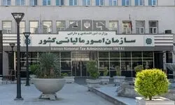 حساب بلاگرها لو رفت؛ ۵۱۲ اینفلوئنسر در تور مالیاتی