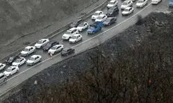 جاده چالوس بخاطر عبور احشام مسدود می‌شود