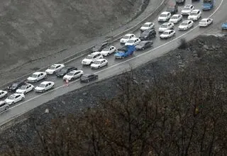 جاده چالوس بخاطر عبور احشام مسدود می‌شود