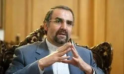 سخنگوی دولت استعفای سنایی را تایید کرد