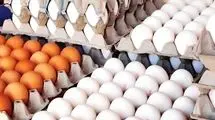 قیمت جدید تخم مرغ رسماً اعلام شد (۱۲ بهمن)