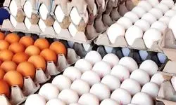 قیمت جدید تخم مرغ رسماً اعلام شد (۱۲ بهمن)
