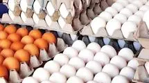 قیمت جدید تخم مرغ رسماً اعلام شد (۱۲ بهمن)