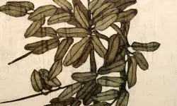 بازدید بیش از ۵۰ هزار گردشگر از جاذبه‌های تاریخی و گردشگری آذربایجان غربی