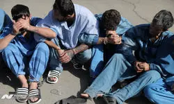 سارقان خیابان ولیعصر «با تخریب در خانه یک کیلو طلا دزدیدند»