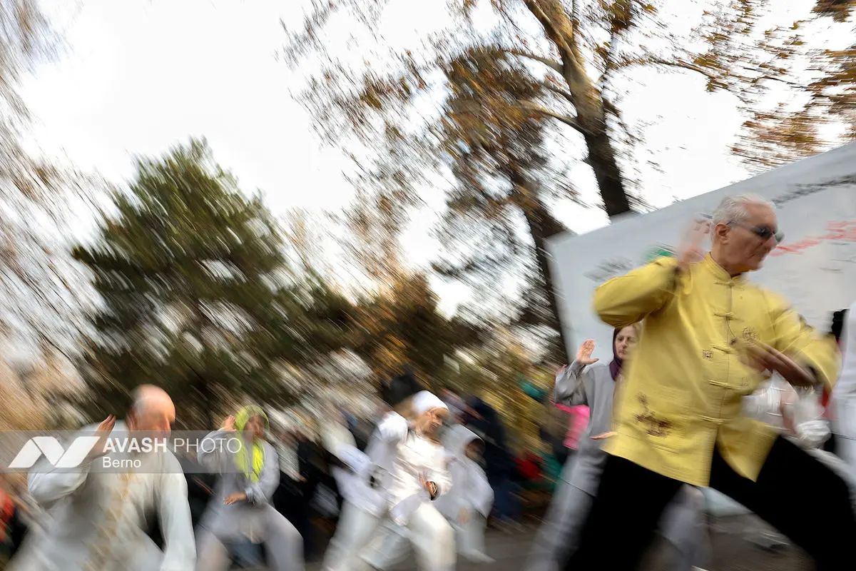 همايش بايبزى تاكج