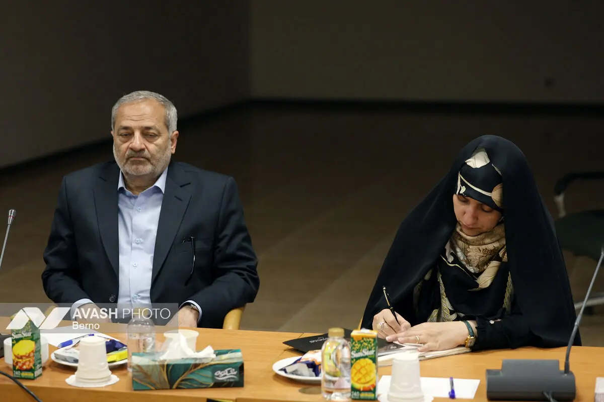 جلسه هیات دولت به ریاست معاون اول رئیس جمهور
