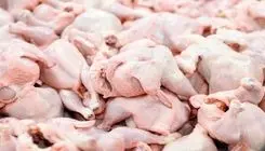 قیمت مرغ نباید بیش از ۲۶۰ هزار تومان برای مصرف‌کننده باشد