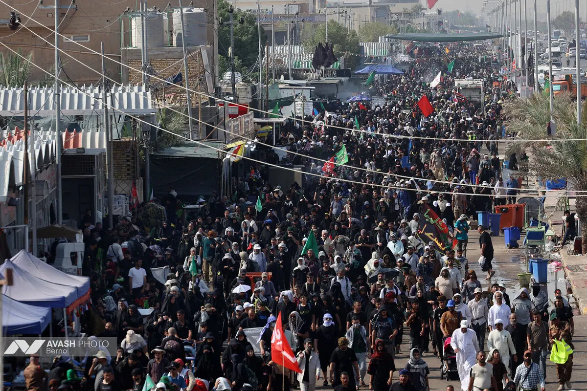 زائران اربعین در مسیر نجف به کربلا