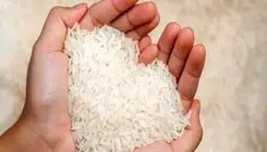 در خصوص برنج پاکستانی مشکلات زیادی داریم