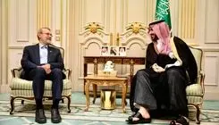 علی لاریجانی با خالد بن سلمان دیدار کرد 