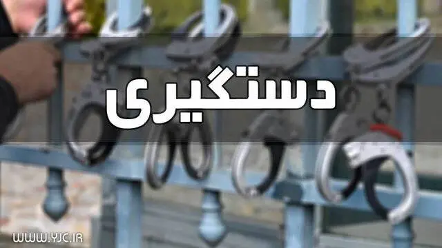 اوباش و اراذل مسلح با شلیک پلیس نوشهر زمینگیر شدند