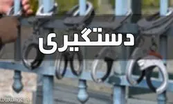  اوباش و اراذل  مسلح با شلیک پلیس نوشهر زمین‌گیر شدند 