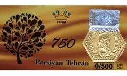 قیمت سکه پارسیان صبح سه‌شنبه ۵ خرداد ۱۴۰۵