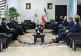 تشریح جلسات پزشکیان با سرمایه‌گذاران از زبان حاجی میرزایی