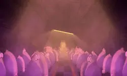 علی‌مرادی: بودجه‌های در نظر گرفته‌شده برای تولید انیمیشن ناچیز است