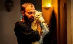 «لاک‌پشت» نقد و بررسی می‌شود