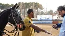 کاپیتان تیم ملی چوگان: فدراسیون حتی مکان مشخص ندارد