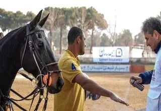 کاپیتان تیم ملی چوگان: فدراسیون حتی مکان مشخص ندارد