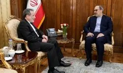 سفیر ایران در صربستان با عراقچی دیدار کرد